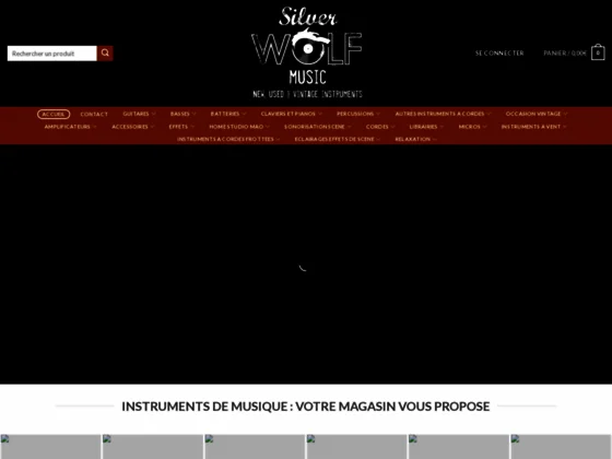 Vente d'instruments de musique à Pau 