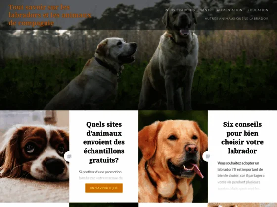 Les labradors