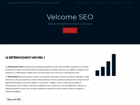 Agence de référencement naturel à Toulouse