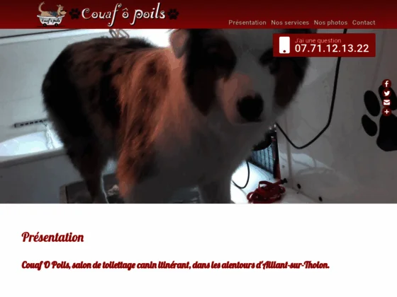 Toilettage canin à domicile aux alentours d'Aillant-sur-Tholon