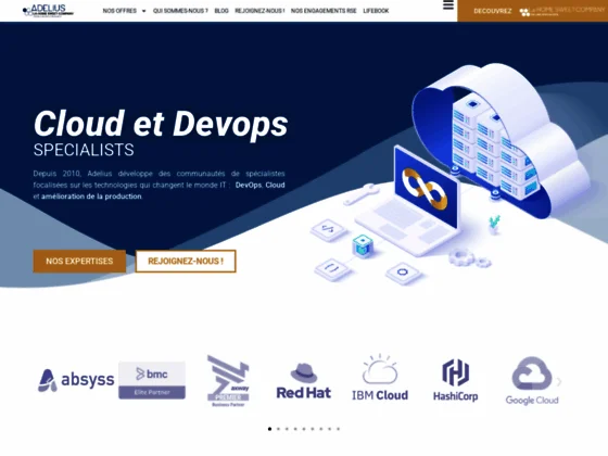 Adelius : ESN spécialisée dans la production IT