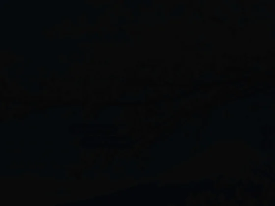 Cabinet Khrysteladitya