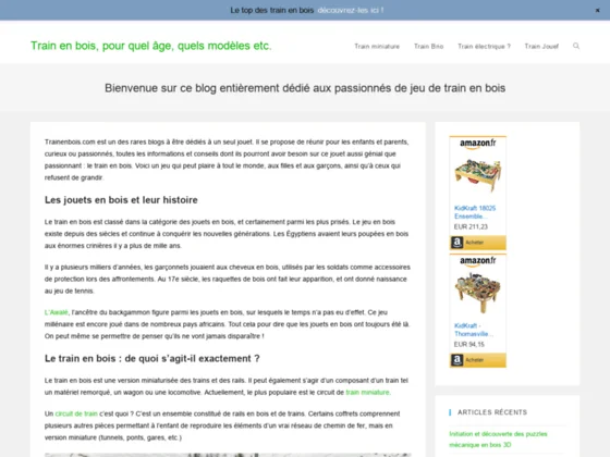 Le top des train en bois découvrez-les ici !