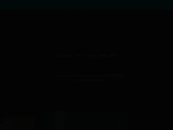 Concept Carrelages Et Bains