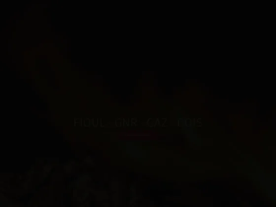 Caranta combustibles