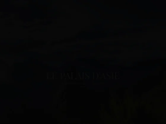 Le palais d'asie