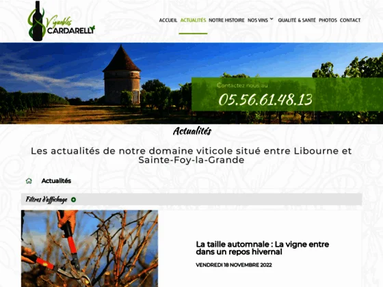 Vignoble à Massugas en Gironde (33)