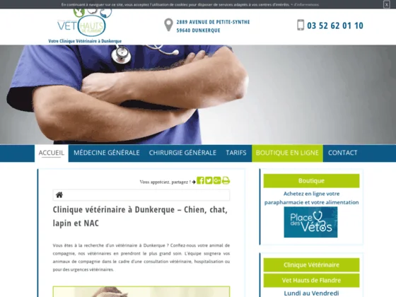 Des soins vétérinaires à Dunkerque