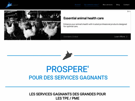 Service comptable pour TPE