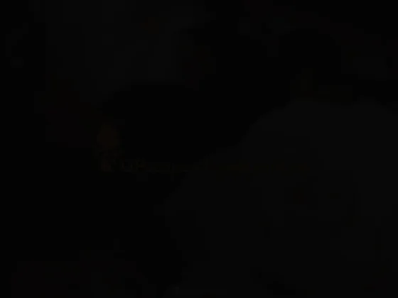 Pompes Funèbres Guadeloupéennes Rambinaissing