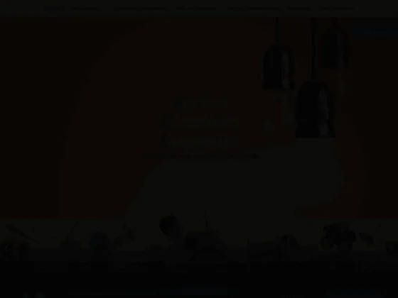 Ael agence electricité lyonnaise