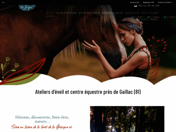 Sarl les ecuries de sulliac - pension chevaux