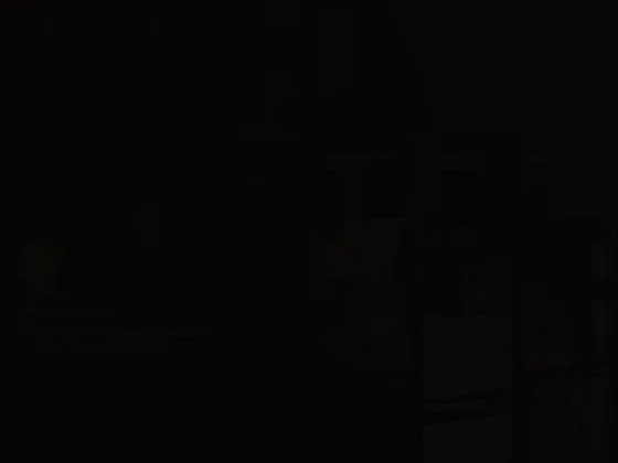 Déménagements tella