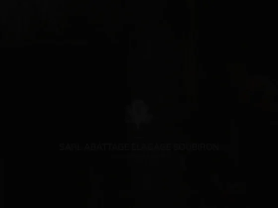 Abattage elagage soubiron