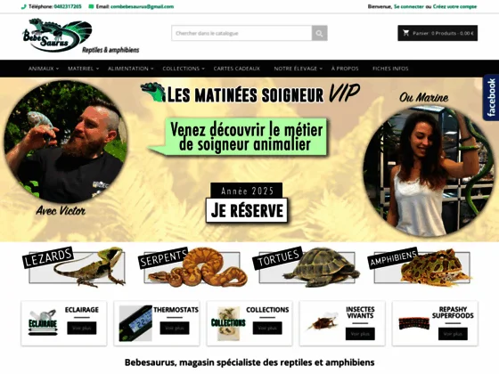 Terrarium serpent - Bebesaurus