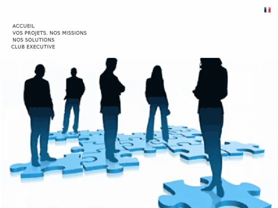 Project management executive