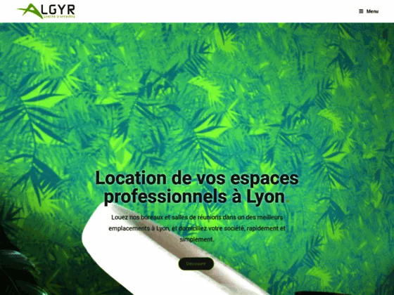 Algyr location salle de réunion Lyon