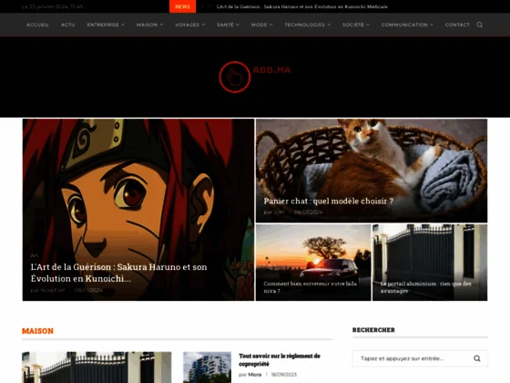 Publication des articles sur blog.ma