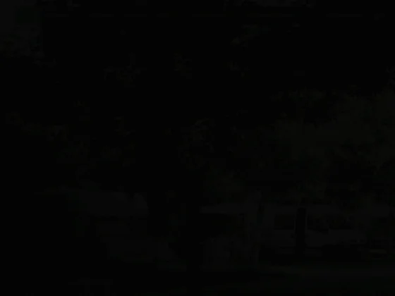 Camping domaine de griggione