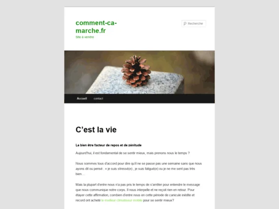 Comment ça marche ?