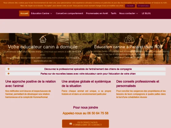 Education canine et conseil en comportement