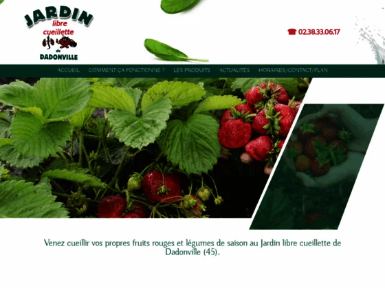 Jardin libre cueillette de Dadonville : production & vente de fruits rouges et légumes de saison (45
