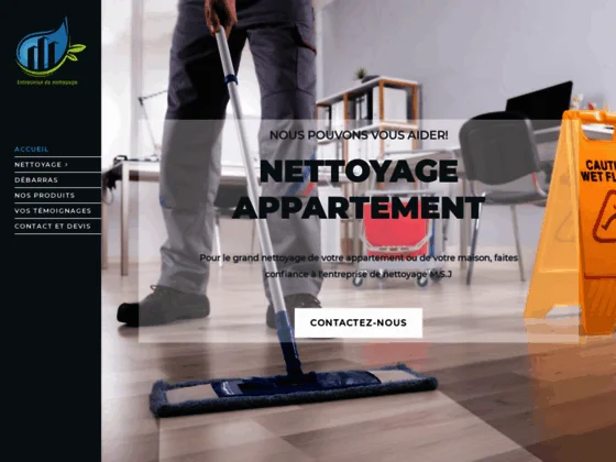 Entreprise de nettoyage professionnel 