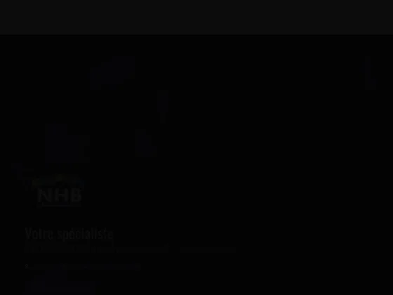 Nhb automobiles