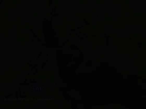 L'arbre et la pierre