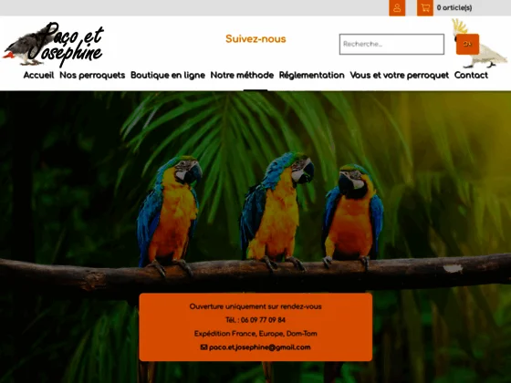 Perroquets d'élevage : élevage & vente de perroquets à Châteaugiron près de Rennes (35)