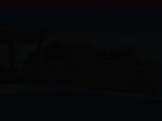 Concept  D'O Piscine