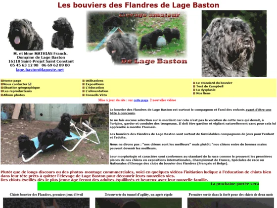 Élevage de chiens Bouviers des Flandres