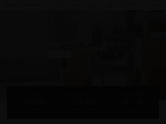 Raggini déménagements