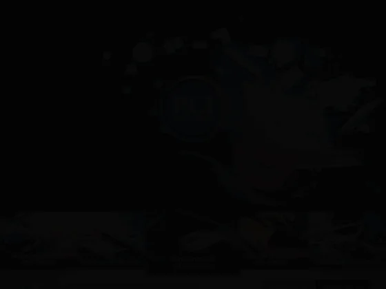 P.C.I. Points Conseils Informatique