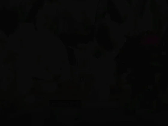 La fontaine d'inville