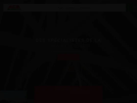 Angel construction bois