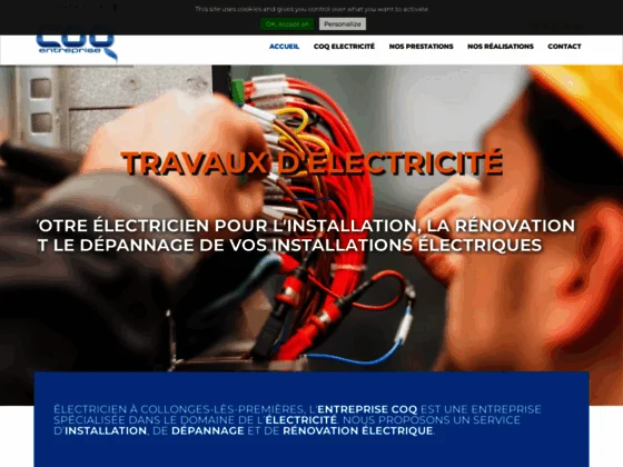 Coq electricité