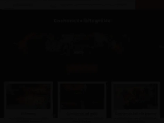 La Rôtisserie De Lopes