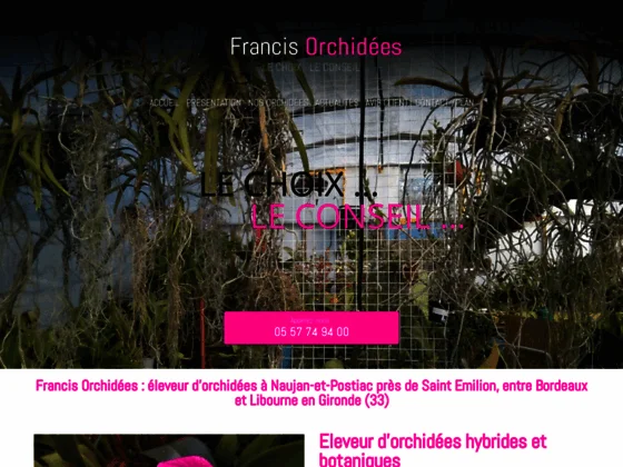 Francis Orchidée : vente bouquet d'orchidée de toutes les couleurs à Naujan-et-Postiac 33