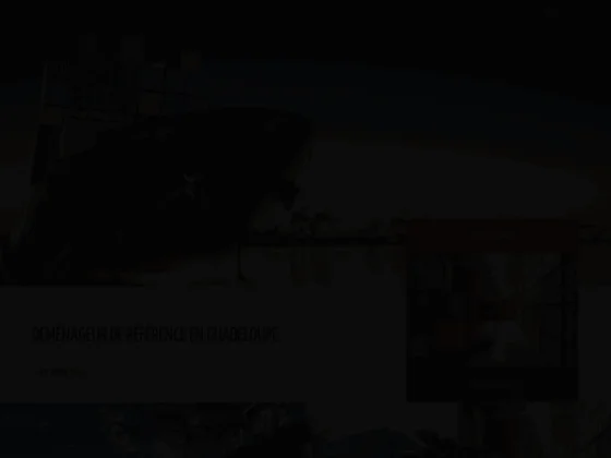 Demenagement express