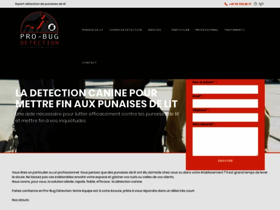 Pro-Bug Détection: la référence en détection canine de punaises de lit.