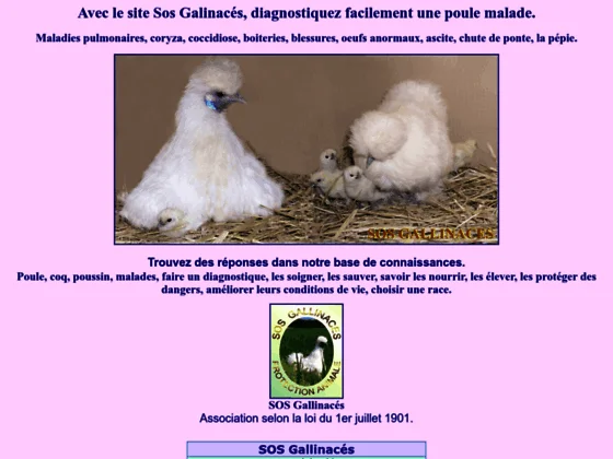 Assocation SOS Gallinacés - Pathalogies aviaires, diagnotics et soins