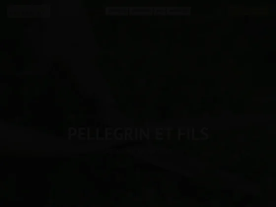 Pellegrin et fils