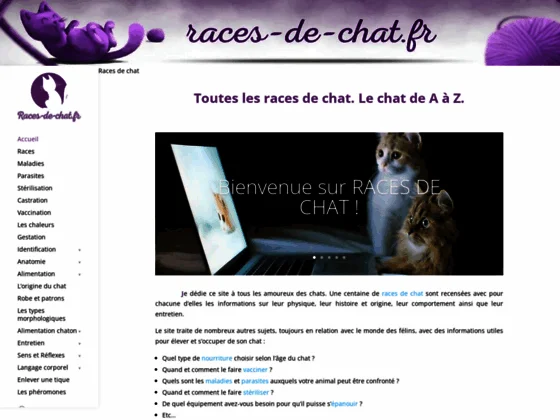 Amoureux des matous - Races de chat