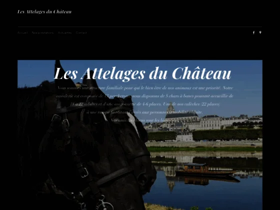 Les attelages du château