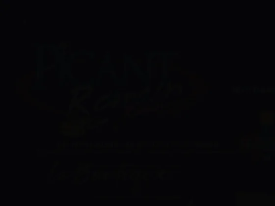 Entreprise de peinture romain picant