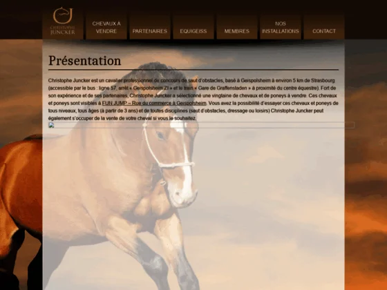 Vente des chevaux à Geispolsheim 