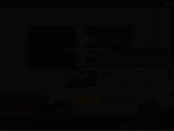 Alp'automatismes service