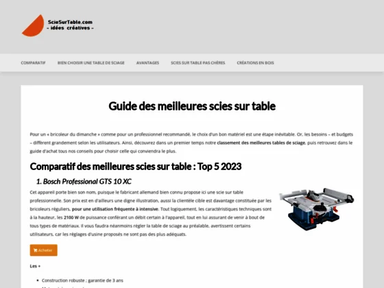 Scie sur table professionnelle