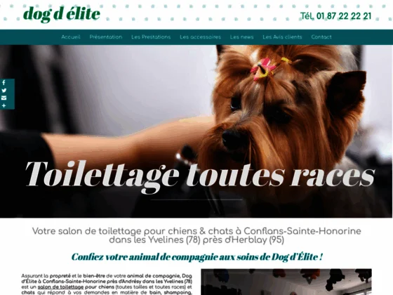 Dog d’Élite : toilettage pour chiens & chats à Conflans-Sainte-Honorine | Yvelines (78)